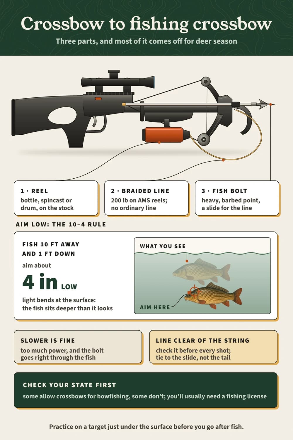 Crossbow set up for bowfishing: fish bolt, bottle reel, braided line; the 10–4 rule (10 ft away, 1 ft down, aim 4 in low); check state rules.
