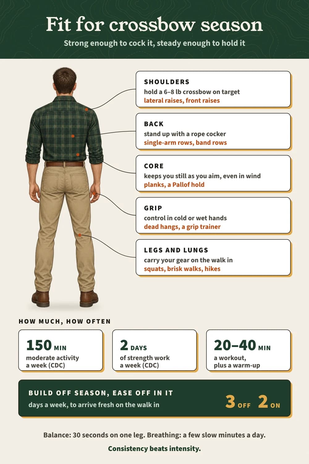 Fit for crossbow season: shoulders, back, core, grip and legs with their exercises, CDC 150 minutes and 2 strength days, 20–40 minute workouts.