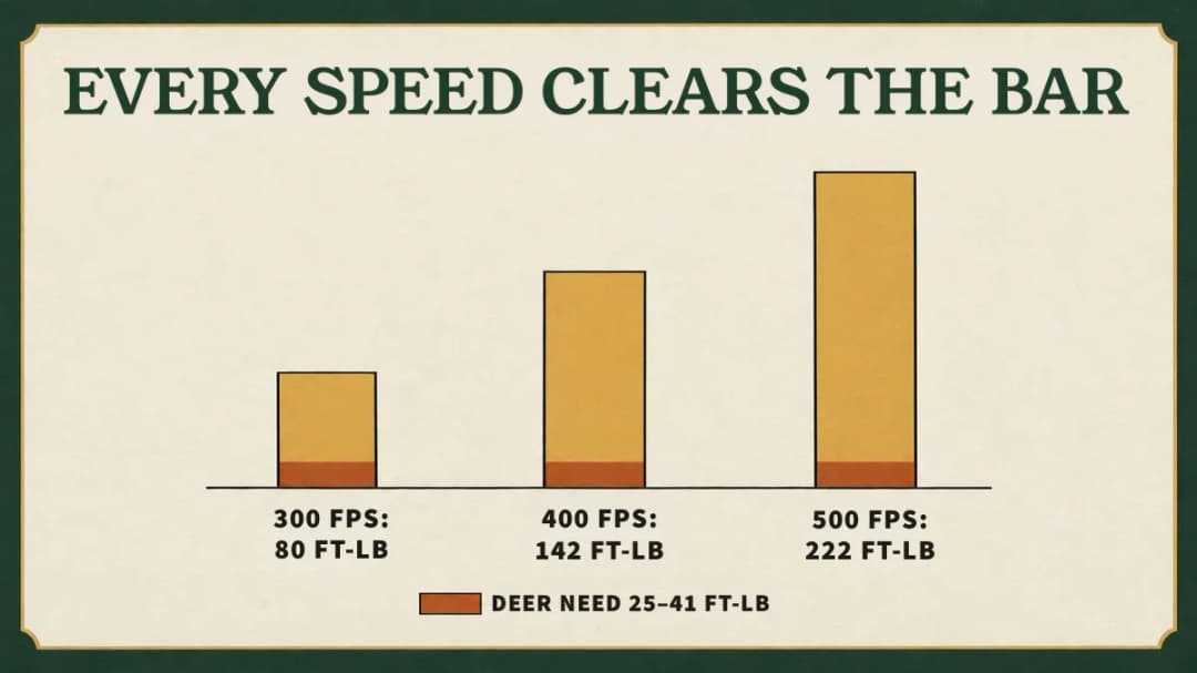 With a 400-grain bolt, 300 fps gives 80 ft-lb, 400 fps 142 and 500 fps 222: all far above the 25–41 ft-lb needed for deer.