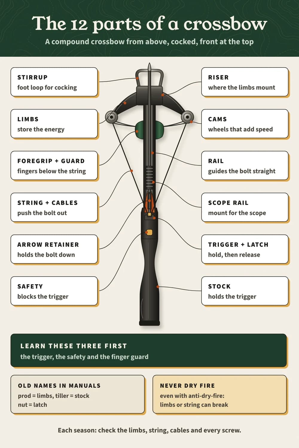 The 12 parts of a crossbow on a cocked compound crossbow seen from above, each with its job; learn the trigger, safety and finger guard first.